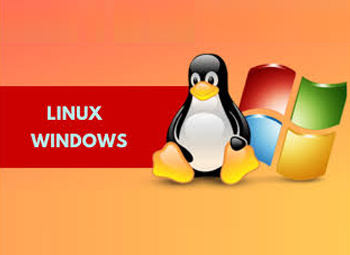 Linux/Windows操作系统